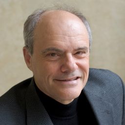 Professor Kenneth Stein