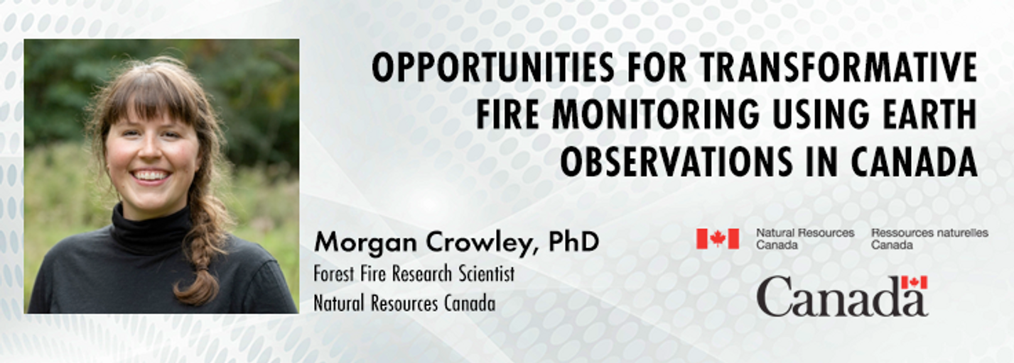 Decorative image for session Opportunities for transformative fire monitoring using Earth observations in Canada