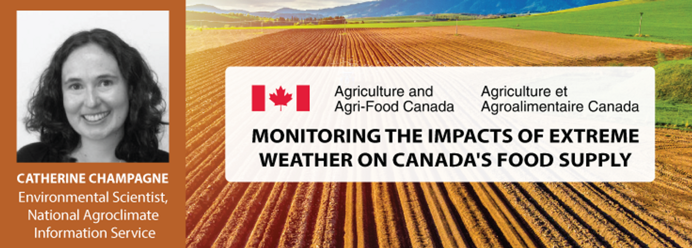 Decorative image for session Monitoring the Impacts of Extreme Weather on Canada's Food Supply with Catherine Champagne, Environmental Scientist, National Agroclimate Information Service with Agriculture & Agri-Food Canada
