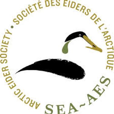 Joel Heath, The Arctic Eider Society - SIKU.org and The Arctic Eider Society