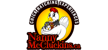 Nanny McCluckins Chick Hatching