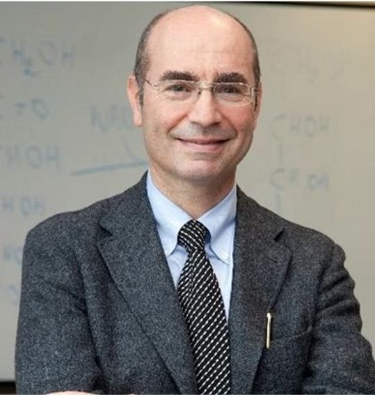 Decorative image for session Mauro Maccarrone (University of L'Aquila, Italy). The Endocannabinoid System and its Complexity in the Brain