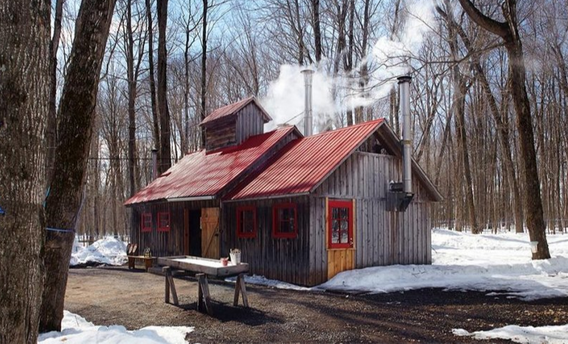 Decorative image for session Sugar Shack