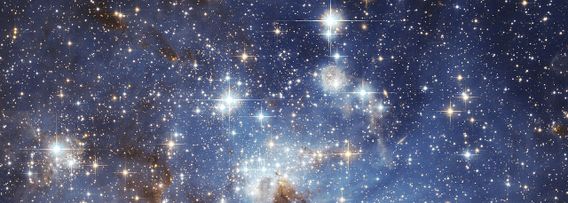 Decorative image for session Stroll with the stars (copy)